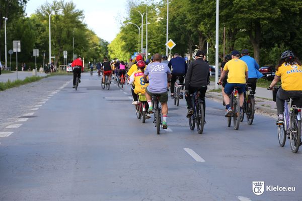 Kilkudziesięciu rowerzystów jedzie ulicą. Po obu stronach są drzewa. Rowerzyści są tyłem do fotografa.