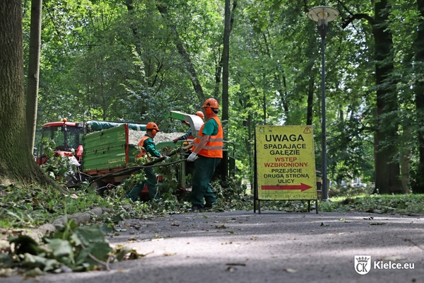 Pracownicy Zieleni Miejskiej sprzątają połamane gałęzie.
