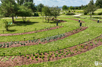 Rabaty nowego Działu Systematyki Roślin w Ogrodzie Botanicznym