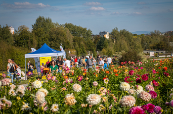 Geofestiwal w ogrodzie03.jpg