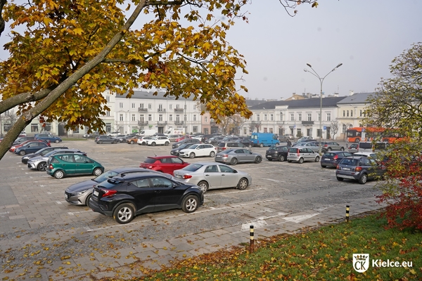 Plac Wolności, zaparkowane samochody, na pierwszym planie fragment drzewa