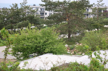 Kielecki Ogród Botaniczny