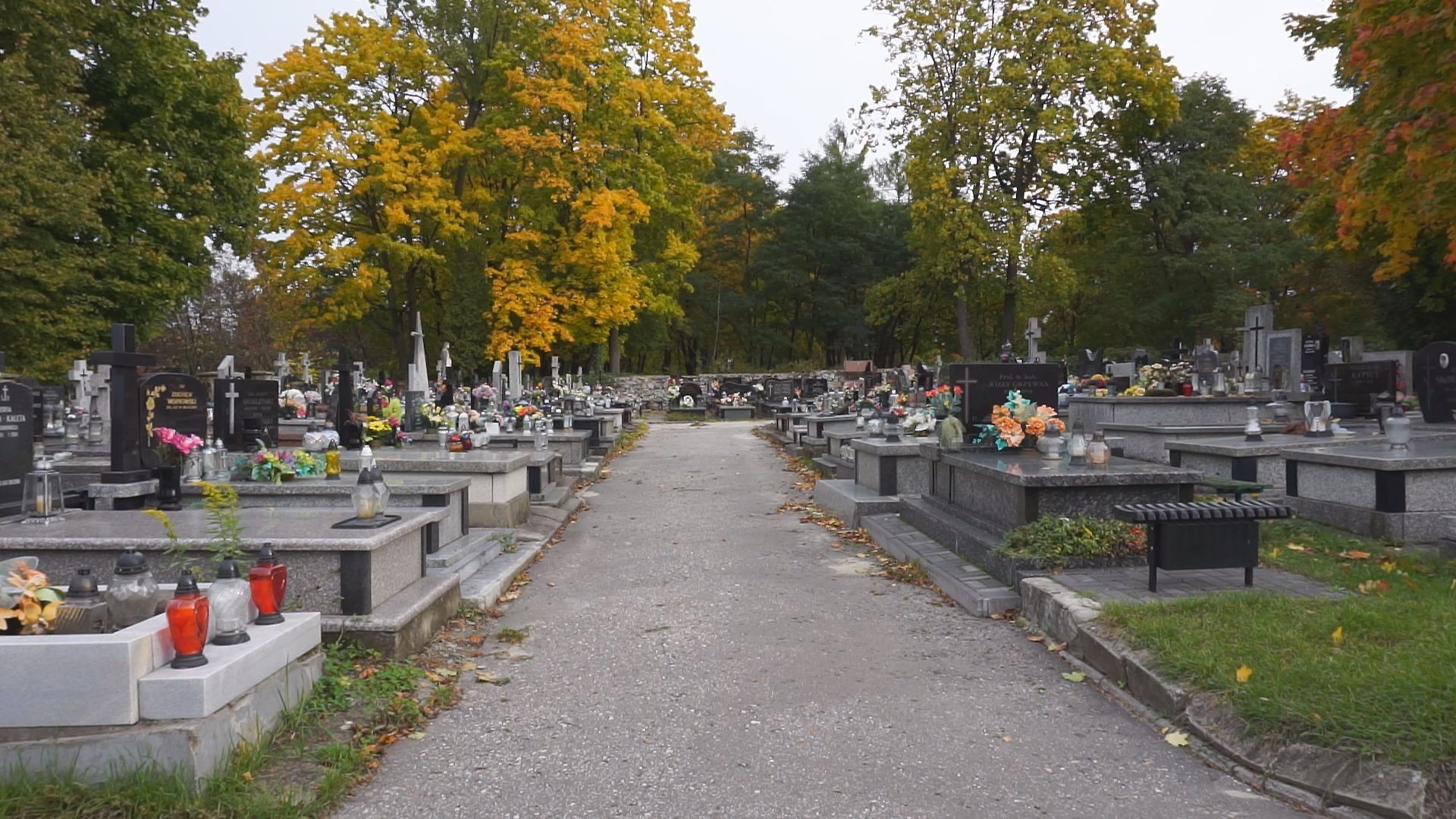 Cmentarz Komunalny.jpg