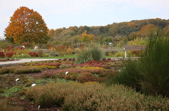 Ogród Botaniczny w jesiennej odsłonie