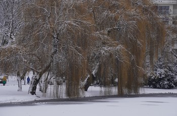 Pierwszy etap rewaloryzacji Parku Miejskiego