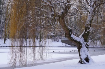 Pierwszy etap rewaloryzacji Parku Miejskiego