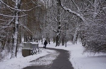 Pierwszy etap rewaloryzacji Parku Miejskiego