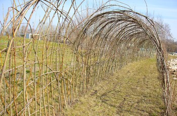 Ogród Botaniczny budzi się na wiosnę