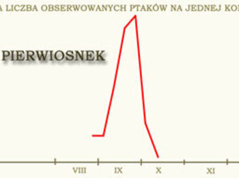 Pierwiosnek - bardzo krótka jednoszczytowa dynamika przelotu