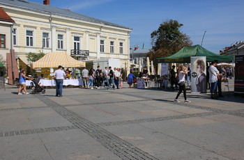 Kielecka Mapa Rzemieślników jest już aktywna