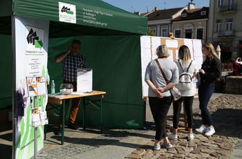 Targi Pracy na kieleckim Rynku