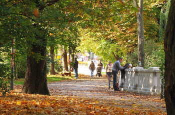 Park Miejski jesienią - aleja przy stawie