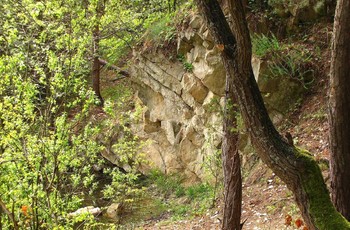 Ściana tworząca skarpę kryje w sobie osobliwość geologiczną